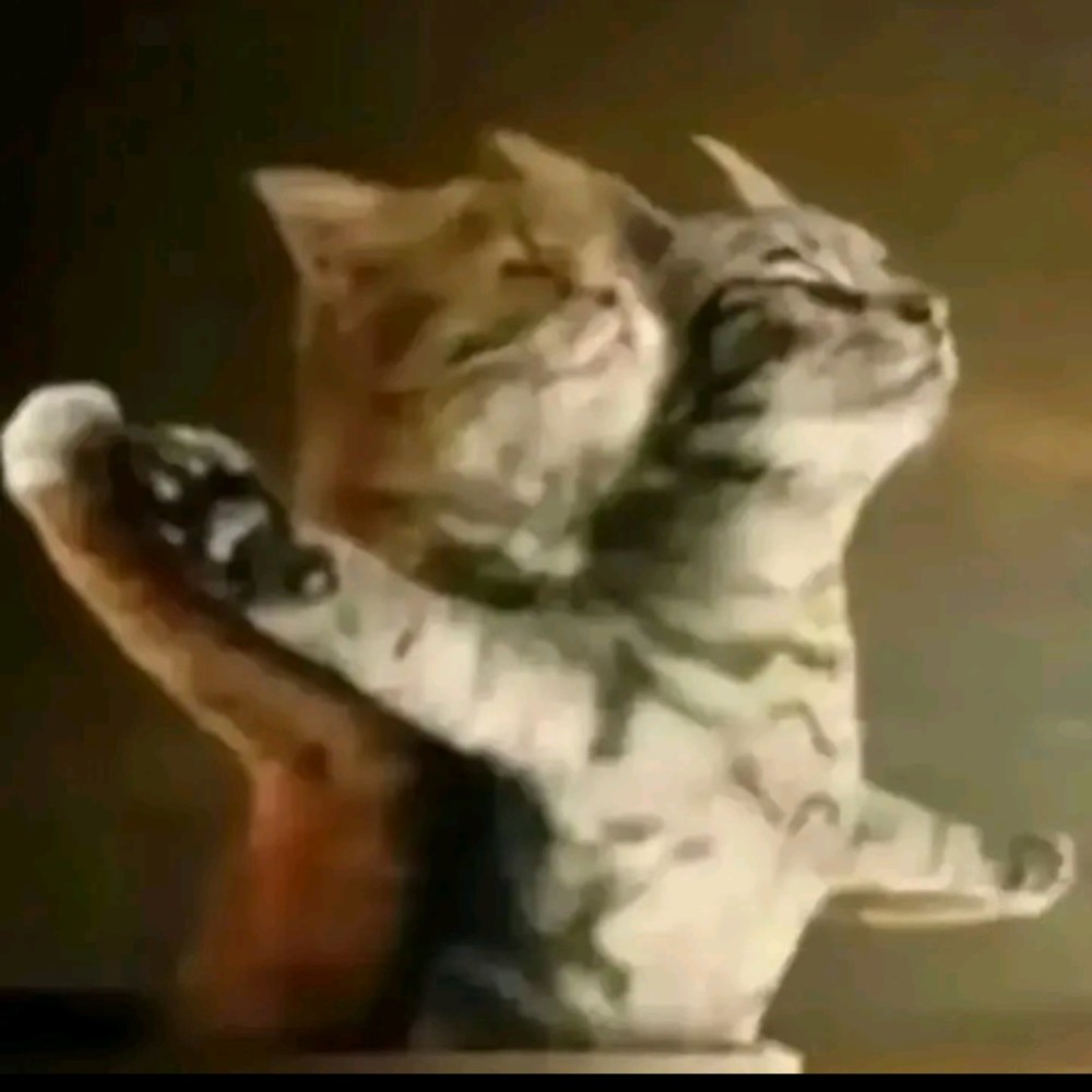 Meet your Posher, Rosalie